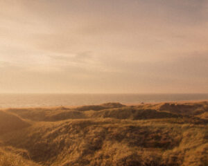 Evening Dunes